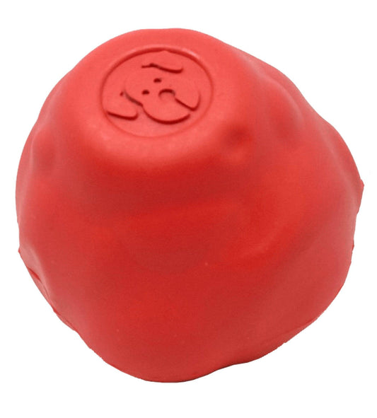 Asteroid Ultra Durable Rubber Chew Toy for Active Dogs-0