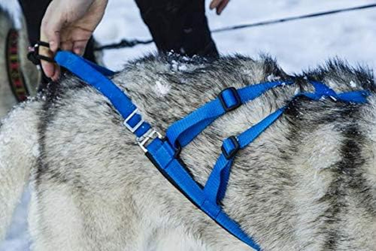 Adjustable Sled Pro Harness (Small, Yellow), Dog Harness Large Breed, Dog Pulling Harness, Giant Dog Harness, Sled Harness for Pulling, Great for Dog Joring
